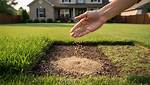 What Is the Right Amount of Grass Seed to Put Down?