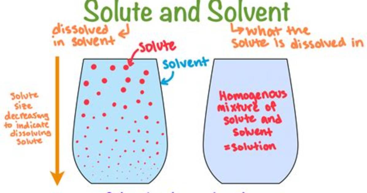 What Is the Solute in Ice Cream?