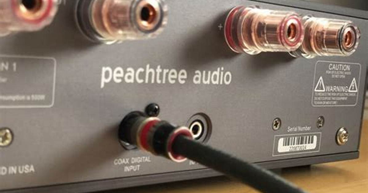 What Kind of Amplifier Does Peachtree Audio Nova300 Use?