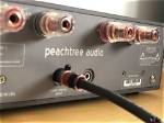 What Kind of Amplifier Does Peachtree Audio Nova300 Use?