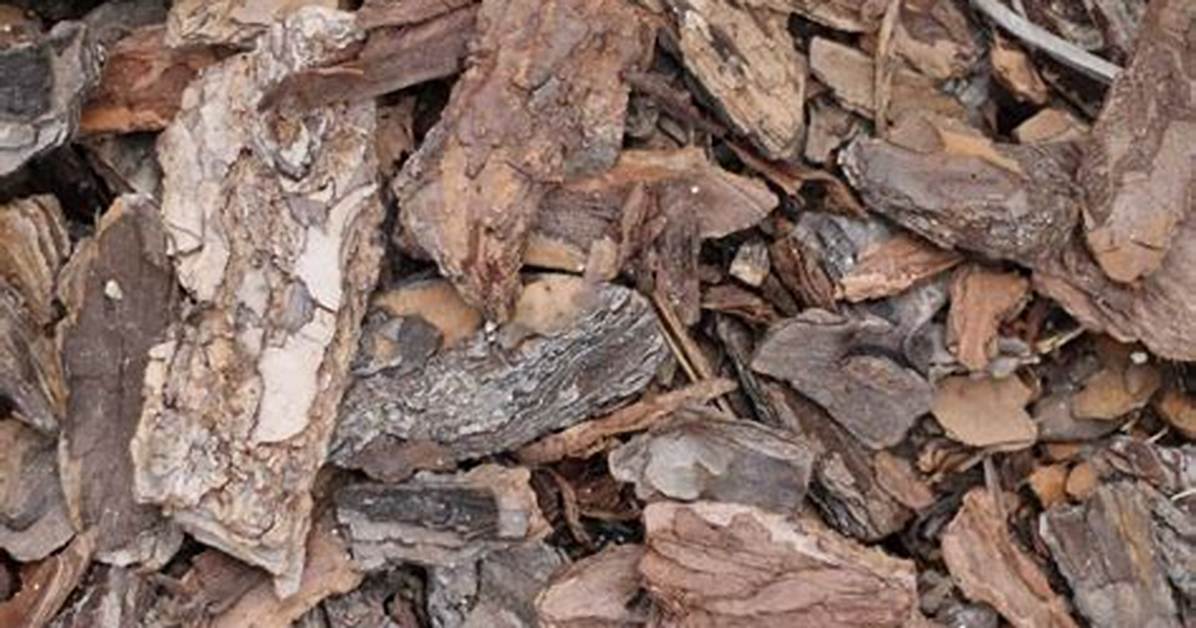 What Kind of Bark Chippings to Use on Hedge?