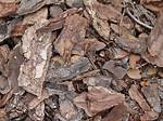 What Kind of Bark Chippings to Use on Hedge?