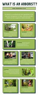 What Kind of Experience Does an Arborist Have?