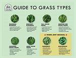 What Kind of Grass Do You Put in a Field?