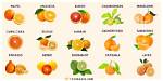 What Kind of Oranges Are from Washington Navel Tree?