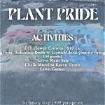What Kind of Plant Is Pride of Barbados?