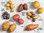 What Kind of Potatoes Do You Use to Grow Potatoes?