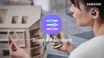 What Kind of Sound Does a Samsung Tv Have?