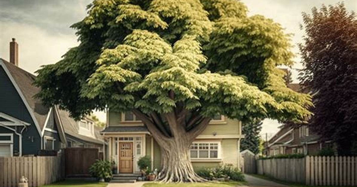 What Kind of Tree Is Too Big for My Yard?