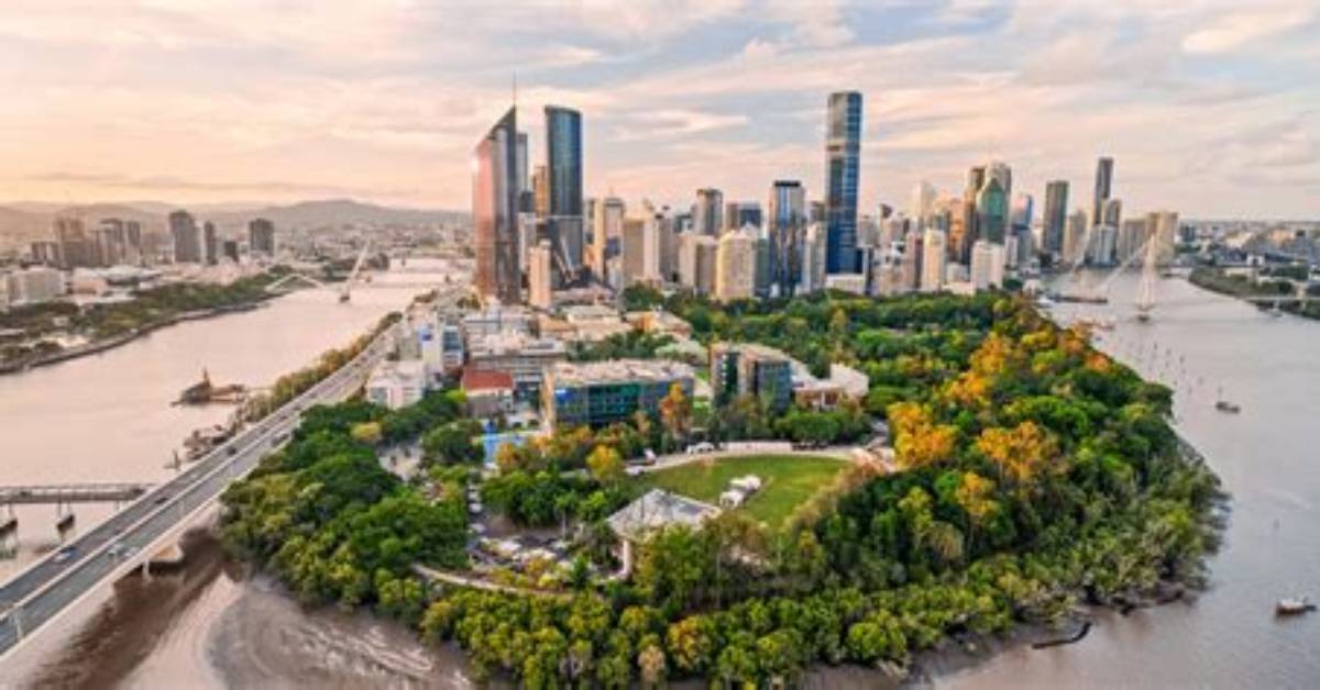 What Kind of Trees Do Brisbane City Council Plant?