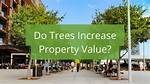 What Kind of Trees Increase Property Value?