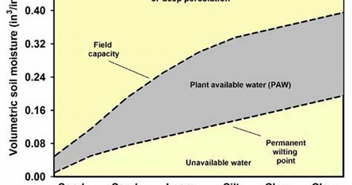 What Percent Should Soil Moisture Be?