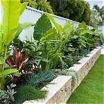 What Plants Can I Plant Near a Pool?