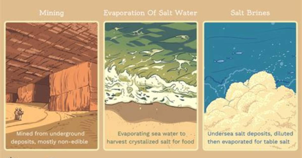 What Role Does Salt Play in Making Ice Cream?
