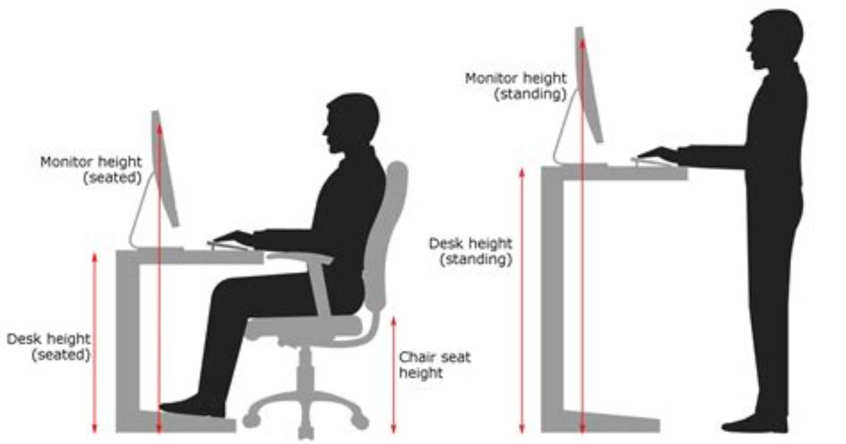 What Should Be the Height of Chair and Table?