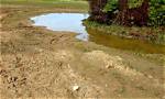 What Soil Does Not Absorb Water Well?
