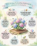 What Time of Year Do You Fertilize Blueberries?