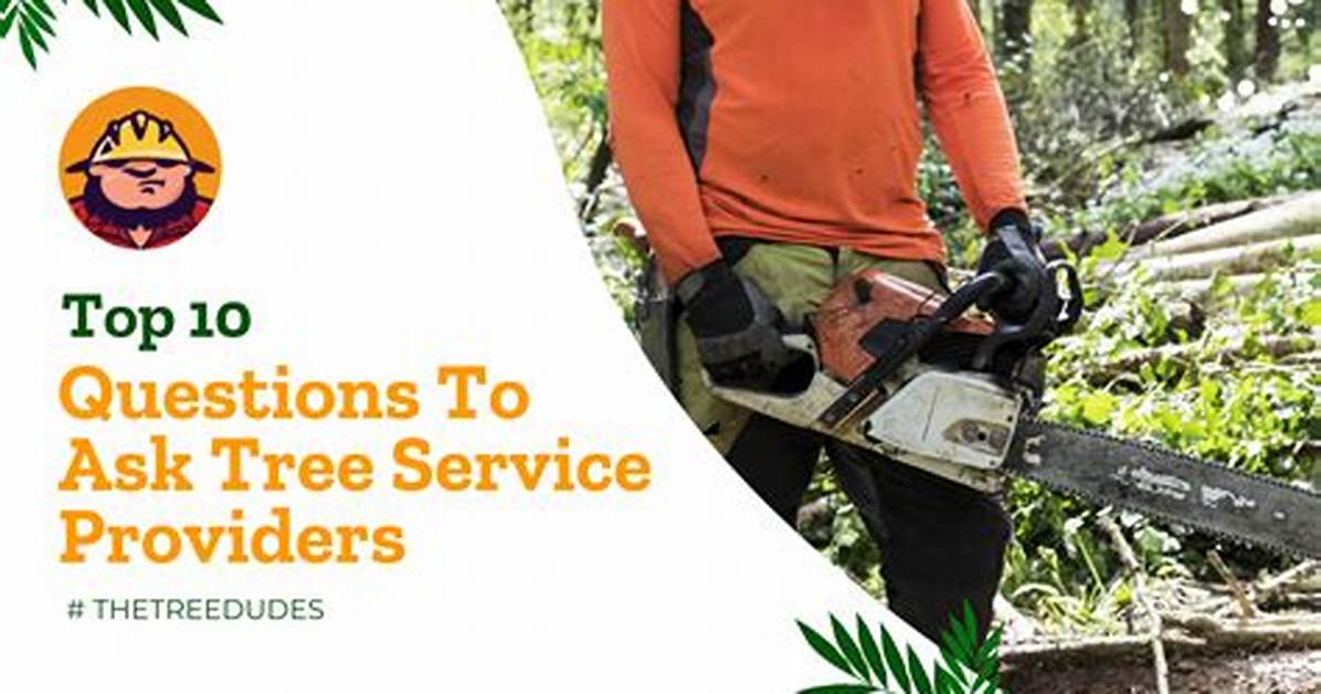 What to Ask Before Hiring a Tree Removal Service?