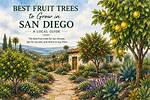 What Trees Grow Well in San Diego?