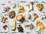 What Type of Mushroom Is Wild?