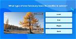 What Type of Tree Loses?