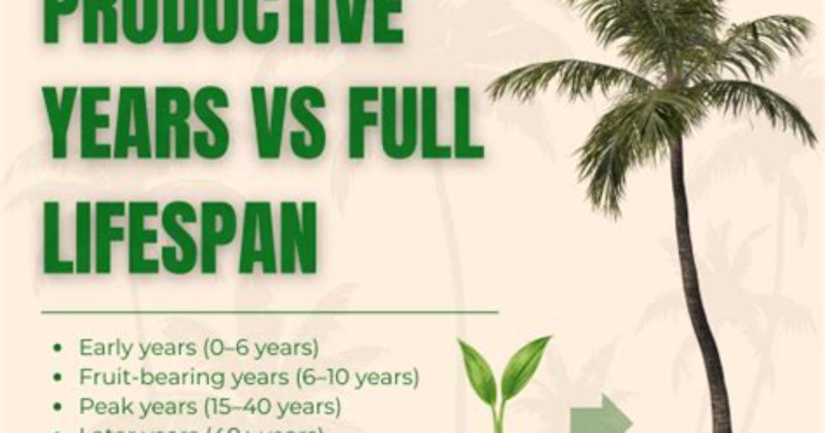 When Does a Tree Become a Productive Tree?