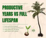 When Does a Tree Become a Productive Tree?