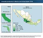 Where Are the Most Avocados Grown in California?