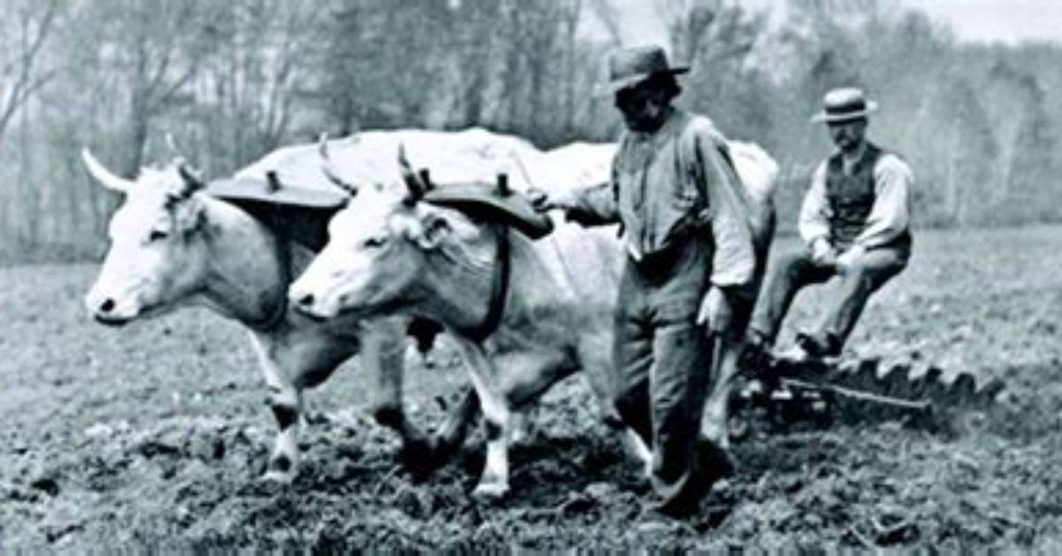 Where Did Farmers Live in the 1800S?
