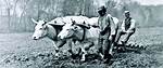 Where Did Farmers Live in the 1800S?