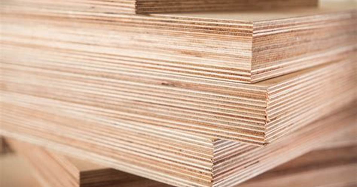 Where Does the Material for Plywood Come from?