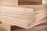 Where Does the Material for Plywood Come from?