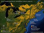 Where Is the Asian Longhorned Beetle Located?