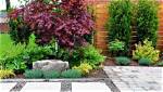 Where Should I Plant a Japanese Maple Waterfall?