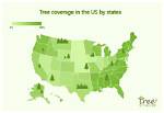 Which Company Has Planted the Most Trees?