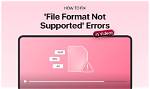 Which Video Format Is Supported in All Dvd Players?