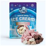 Who Created Freeze Dried Ice Cream for Nasa?