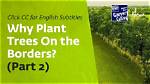 Who Is Responsible for Boundary Trees?