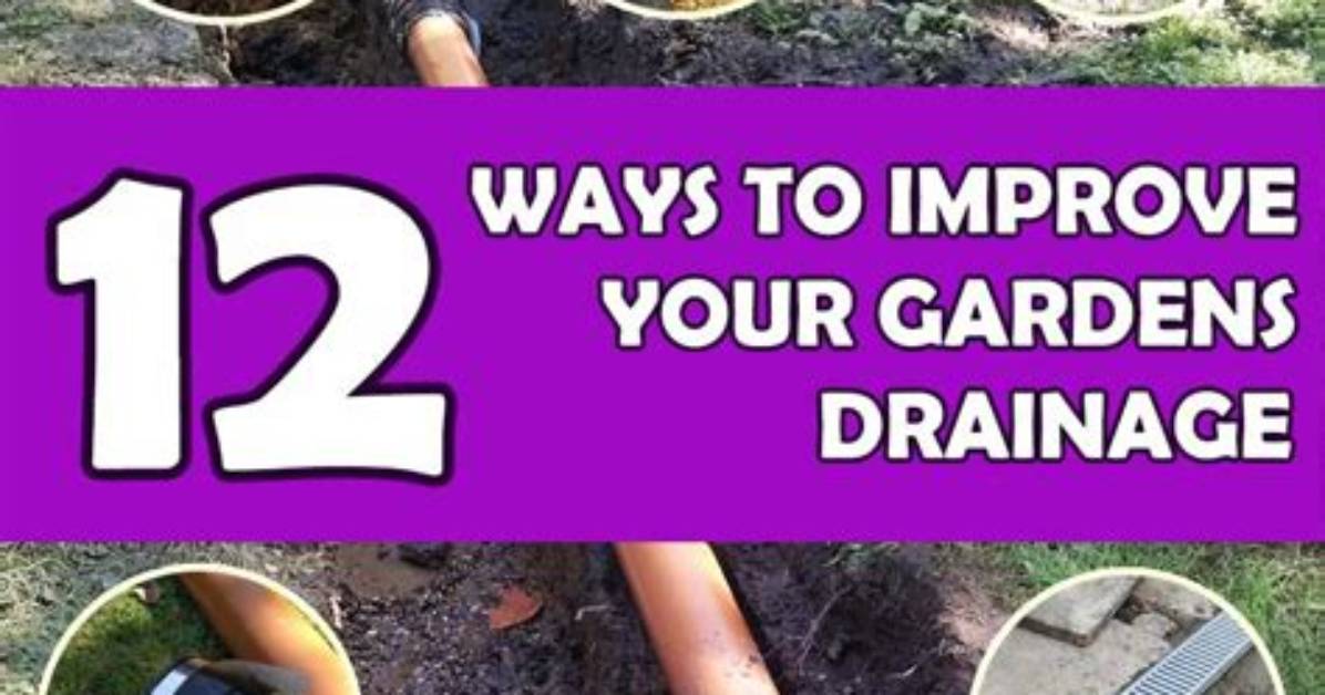 Who Is Responsible for Garden Drainage?