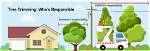 Who Is Responsible for Trimming Trees Near Power Lines Uk?