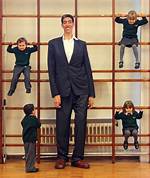 Who Is the Tallest Living Person in the World?