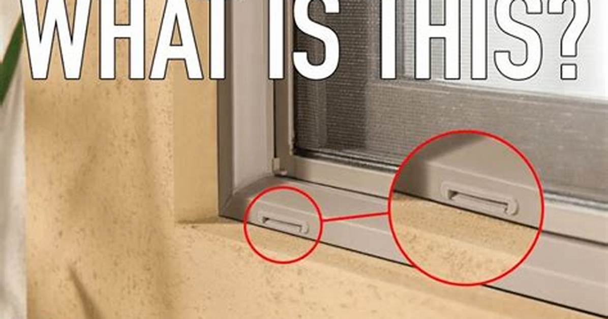 Why Do Windows Have Metal?
