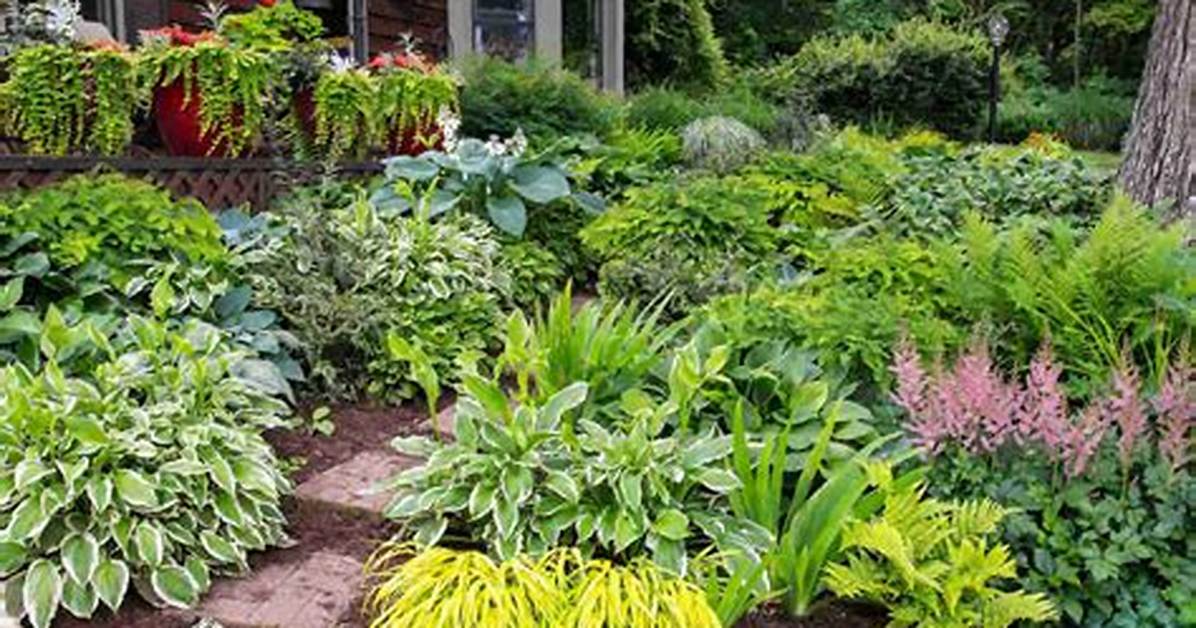 Why Do You Need a Shade Garden Plan?