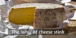Why Does My Cheese Smell off?
