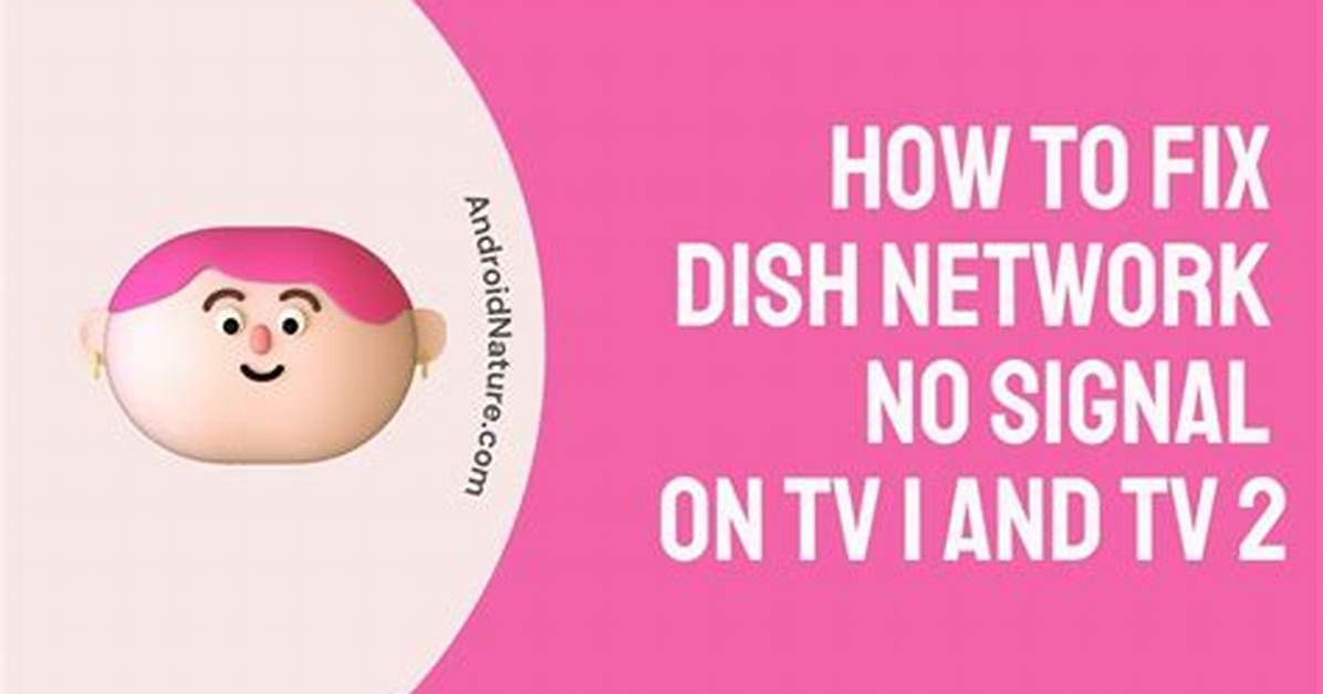 Why Does My Dish Have Sound but No Picture?