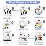 Why Is Cheese Made of Cheese?