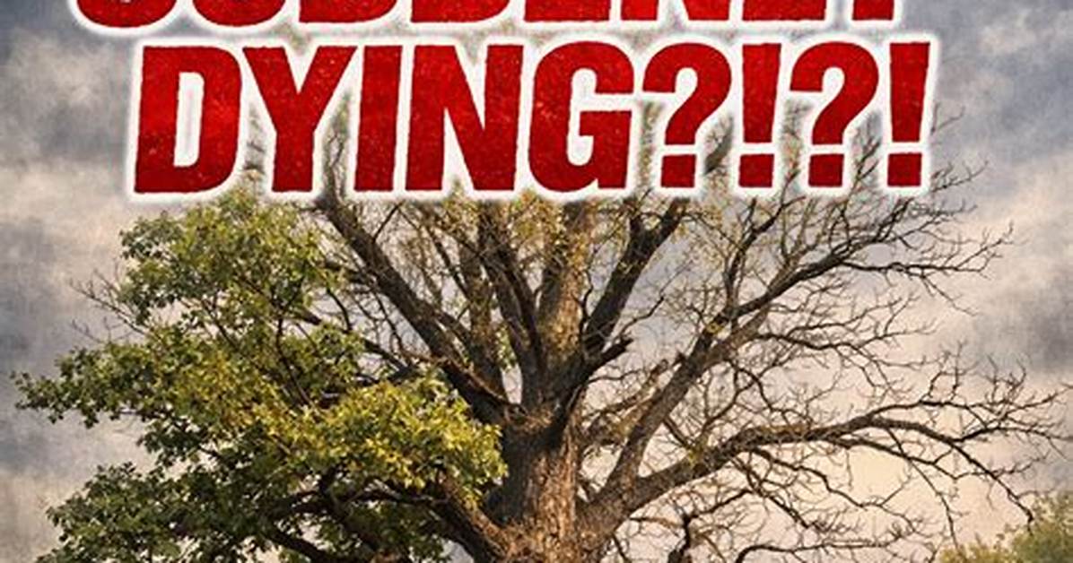 Why Is My Old Oak Tree Dying?