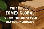 Why Is Some Plywood Green?