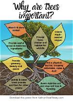 Why Is the Idea Tree Important to Students?