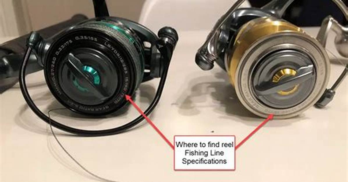 Why Is the Line on My Reel Loose?